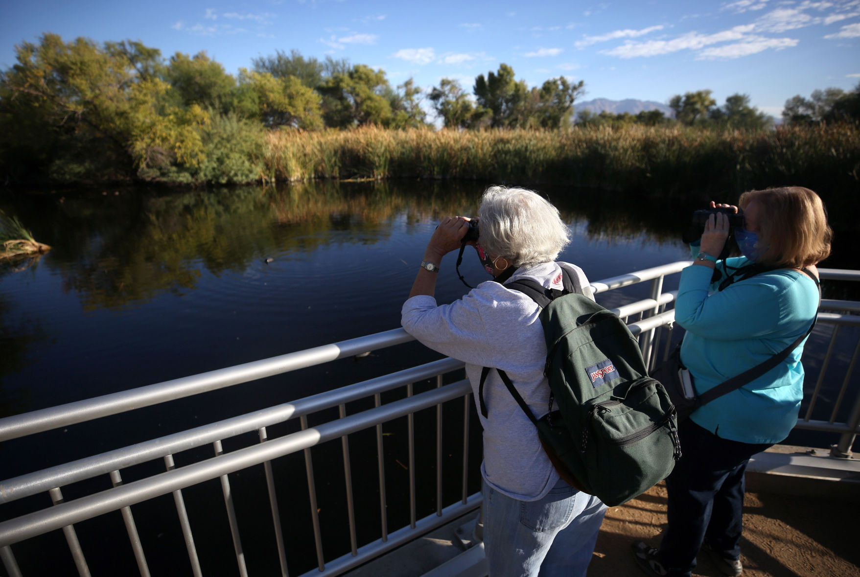Sweetwater Wetlands, Tucson